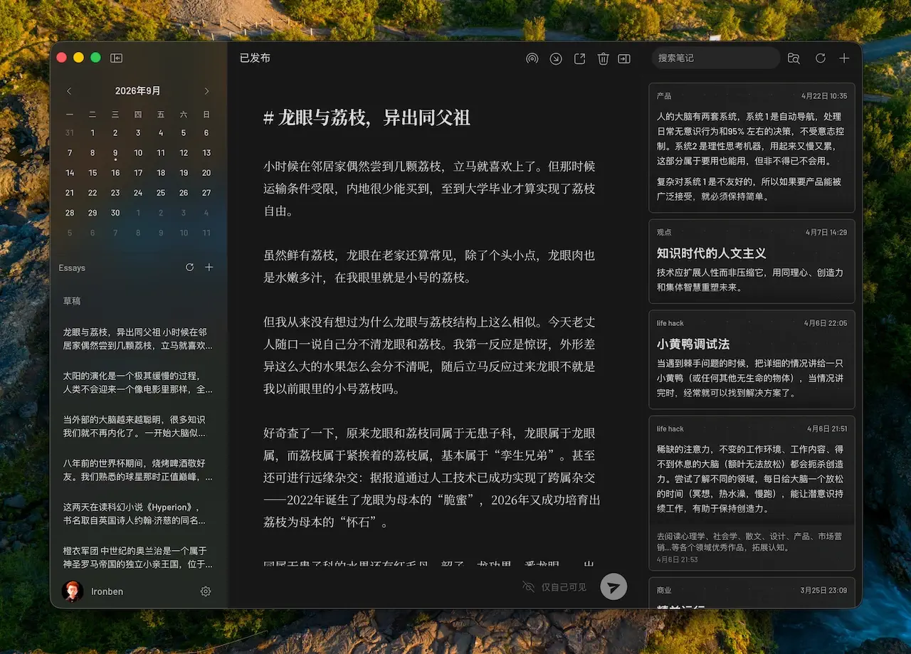 Essay Editor 截图