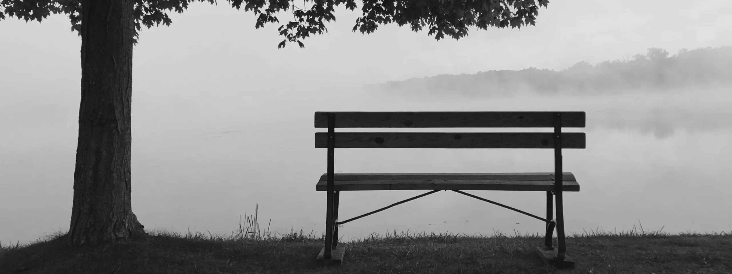 无用之事 theme image